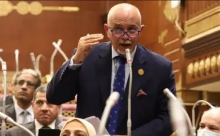 النائب حازم الجندي: اعتداءالمستوطنين الإسرائيليين على المساعدات الإنسانية المتجهة إلى غزة انتهاكا صارخا