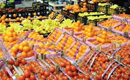 وزير الزراعة يعلن عن رقم قياسي جديد في صادرات مصر الزراعية: 6.5 مليون طن بزيادة 600 ألف طن عن العام الماضي