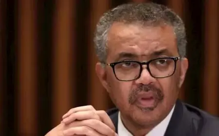 الصحة العالمية: اليأس في غزة يؤدي إلى انهيار القانون والنظام