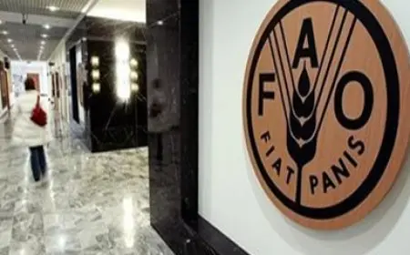 ارتفاع مؤشر الغذاء العالمي إلى أعلى مستوى في عامين خلال يوليو الماضي