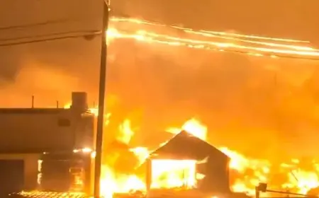 حرائق هائلة تلتهم آلاف الأفدنة شمال لوس أنجلوس وتجبر الآلاف على الإخلاء (صور- فيديو)