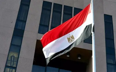 أودى بحياة وزيري الدفاع والبيئة.. مصر تعزي غانا في ضحايا حادث تحطم طائرة هليكوبتر