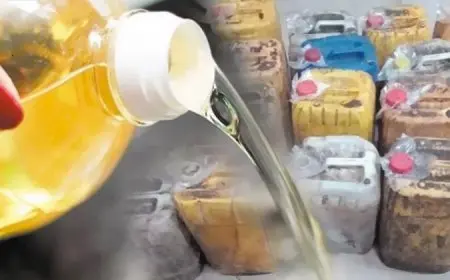 سموم مؤجلة.. الزيت المستعمل خطر متنكر في كل بيت‎