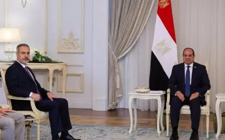 الرئيس السيسي يستقبل وزير الخارجية التركي