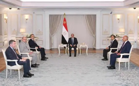 الرئيس السيسي ووزير الخارجية التركي يبحثان رفع التبادل التجاري إلى 15 مليار دولار