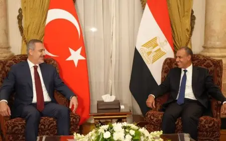وزير الخارجية يعقد جلسة مباحثات مع نظيره التركى