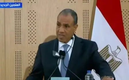 وزير الخارجية: مصر تواصل جهودها بلا كلل للتوصل إلى وقف نهائي لإطلاق النار في غزة