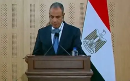 وزير الخارجية: أردوغان يزور مصر العام المقبل