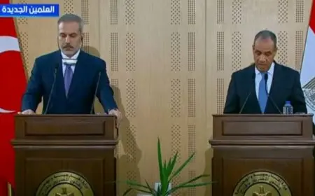 وزير الخارجية: قرار احتلال غزة تطور شديد الخطورة وأمر لا يمكن السكوت عليه