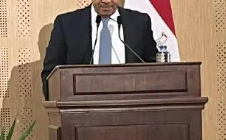 وزير الخارجية: لن نسمح بإعادة هندسة المنطقة.. والعرب يستطيعون فرض رؤيتهم