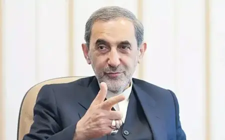 مستشار خامنئي: إيران تعارض نزع سلاح حزب الله