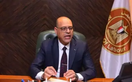 وزير العمل: استحداث استمارة تسوية في قانون العمل الجديد لإنهاء العقود بالتراضي