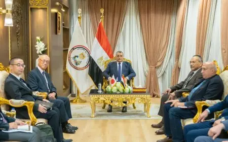 وزير الإنتاج الحربي: نعمل على تعزيز التعاون الصناعي والتكنولوجي مع اليابان