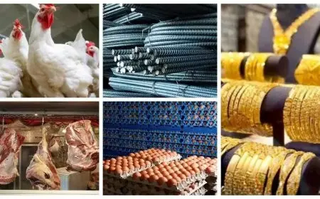 خريطة الأسعار اليوم: انخفاض البيض واللحوم والذهب يستقر