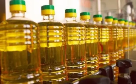 الوقود الحيوي يرفع أسعار الغذاء.. الزيوت تقفز بأكثر من 7% خلال يوليو 2025