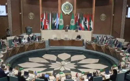 مندوب فلسطين لدى الجامعة العربية: إسرائيل تحولت من قوة احتلال غير قانوني إلى استعمار استيطاني