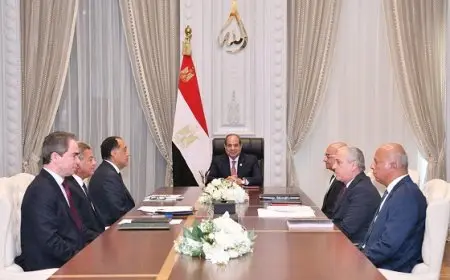 السيسي يوجه بوضع خارطة طريق شاملة لتطوير الإعلام المصري ودعم حرية التعبير