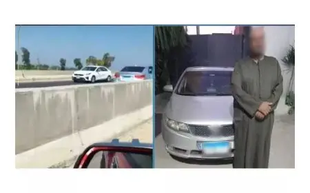 الركنة غالية.. فيديو يكشف عامل يكسر مرايات سيارتين بسبب أولوية الانتظار