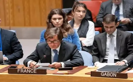 فرنسا: نعارض بشدة أي خطة إسرائيلية لاحتلال أو استيطان أو ضم غزة