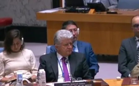 مساعد الأمين العام لأوروبا وآسيا الوسطى والأمريكيتين بمجلس الأمن: خطط إسرائيل بغزة ستؤدي لكارثة