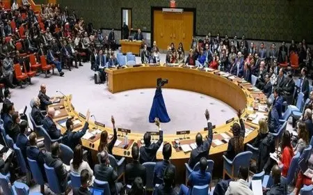 الجزائر: على مجلس الأمن أن يرفع صوته لكسر حلقة الإفلات الإسرائيلي من العقاب