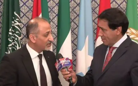 مندوب فلسطين بالجامعة العربية: قرار عربي يعتبر عدوان إسرائيل إبادة جماعية واعتداءً على جميع الدول