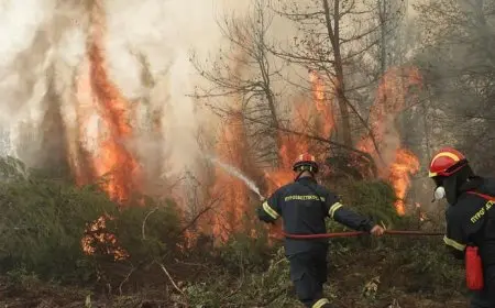 السيطرة على حريق ضخم جنوب فرنسا بعد أيام من اندلاعه