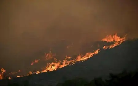 السيطرة على النيران بمعظم مناطق أكبر حريق غابات يضرب فرنسا منذ عقود