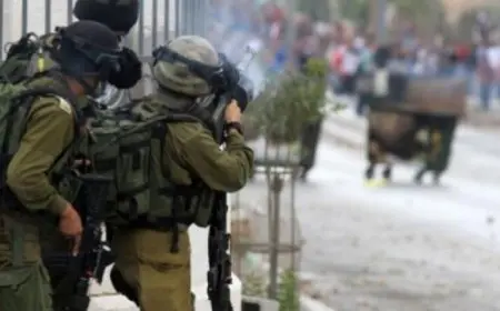 كوريا الجنوبية تعبر عن قلقها البالغ إزاء خطة إسرائيل للسيطرة على غزة