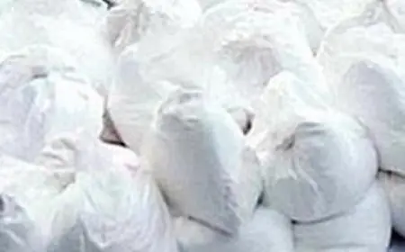 الشرطة اليونانية تضبط أكثر من 270 كيلوجراما من الكوكايين