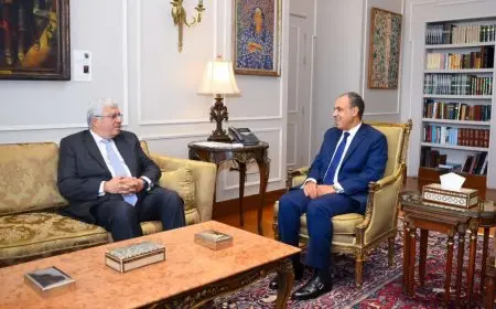 وزير الخارجية: توطيد أواصر التعاون بين المؤسسات التعليمية المصرية ونظيرتها بالخارج