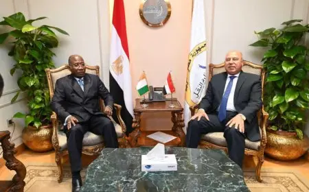 استحداث إدارة مختصة في وزارة النقل لدعم التعاون المصري الأفريقي