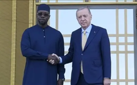 أردوغان يلتقي رئيس وزراء السنغال في إسطنبول