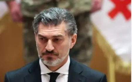 رئيس جورجيا يزور تركيا الثلاثاء