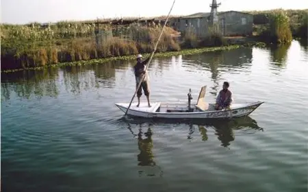 جهاز تنمية البحيرات: نفوق بعض الأسماك بمزارع بحيرة المنزلة ظاهرة موسمية تحدث منذ 10 سنوات