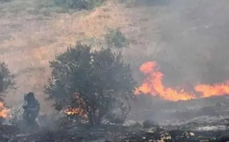 بسبب حريق الغابات.. إجلاء أكثر من 2000 شخص جنوب إسبانيا