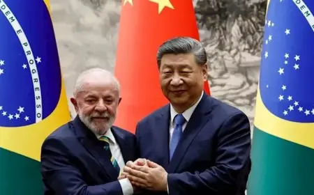الصين والبرازيل تبحثان سبل تعزيز دور البريكس والتجارة الثنائية