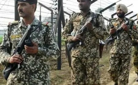 الجيش الباكستاني يعلن تحييد 50 مسلحا على الحدود الأفغانية