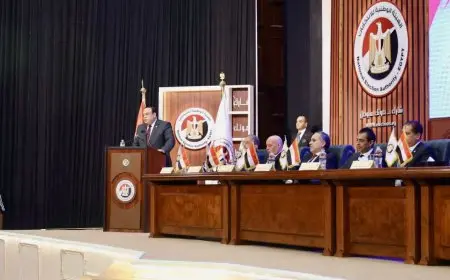 انتخابات مجلس الشيوخ.. أسماء المرشحين الفائزين من الجولة الأولى في الإسكندرية