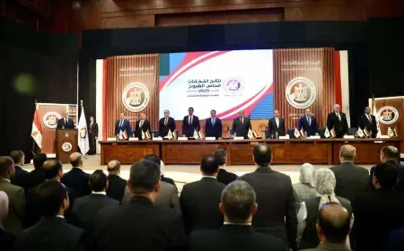 انتخابات مجلس الشيوخ.. أسماء المرشحين الفائزين من الجولة الأولى بالقاهرة