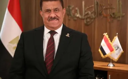 المستشار أحمد العادلي بعد فوزه في انتخابات الشيوخ: الصعيد أبرز أولوياتي داخل المجلس