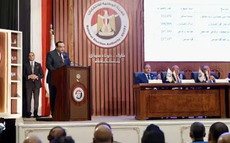 انتخابات مجلس الشيوخ.. نسب التصويت في أسوان وأسماء الفائزين من الجولة الأولى