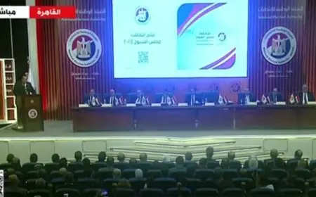 انتخابات مجلس الشيوخ.. نسب التصويت في أسوان والمرشح الفائز من الجولة الأولى