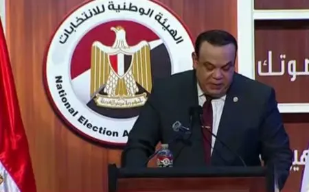 انتخابات مجلس الشيوخ.. نسب التصويت في دمياط وأسماء الفائزين من الجولة الأولى