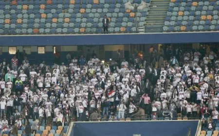 وزارة الرياضة: تحية لرابطة الأندية.. والعقوبات على جماهير الزمالك ليست «ضعيفة»