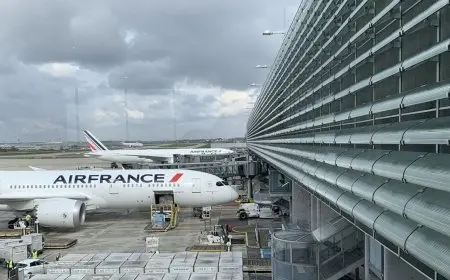 السلطات الفرنسية توقف مراقبا جويا عن العمل بسبب عبارة فلسطين حرة