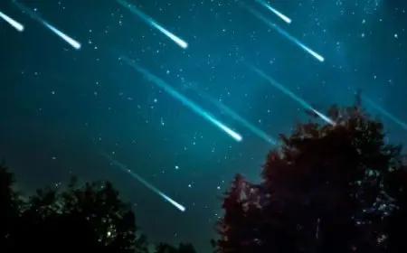 60 شهابا في الساعة.. زخات شهب برسيد تتألق في ذروتها وتبهر عشاق الفلك حول العالم