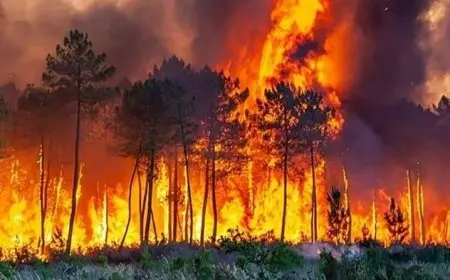 حرائق أوروبا.. استمرار موجة حر قياسية وإجلاء آلاف السكان