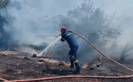 الحرائق تجبر السلطات على إخلاء شواطئ يونانية