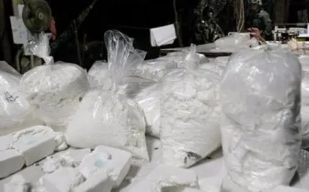 ضبط 3.4 كيلوجرام من الكوكايين الصّافي أُدخلت عن طريق البلع إلى لبنان